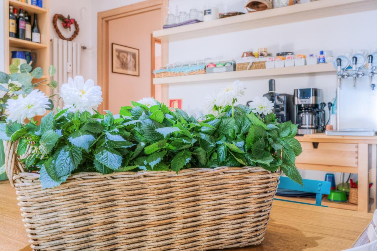 La Casa Sul Mare Bed & Breakfast Civitavecchia Bagian luar foto